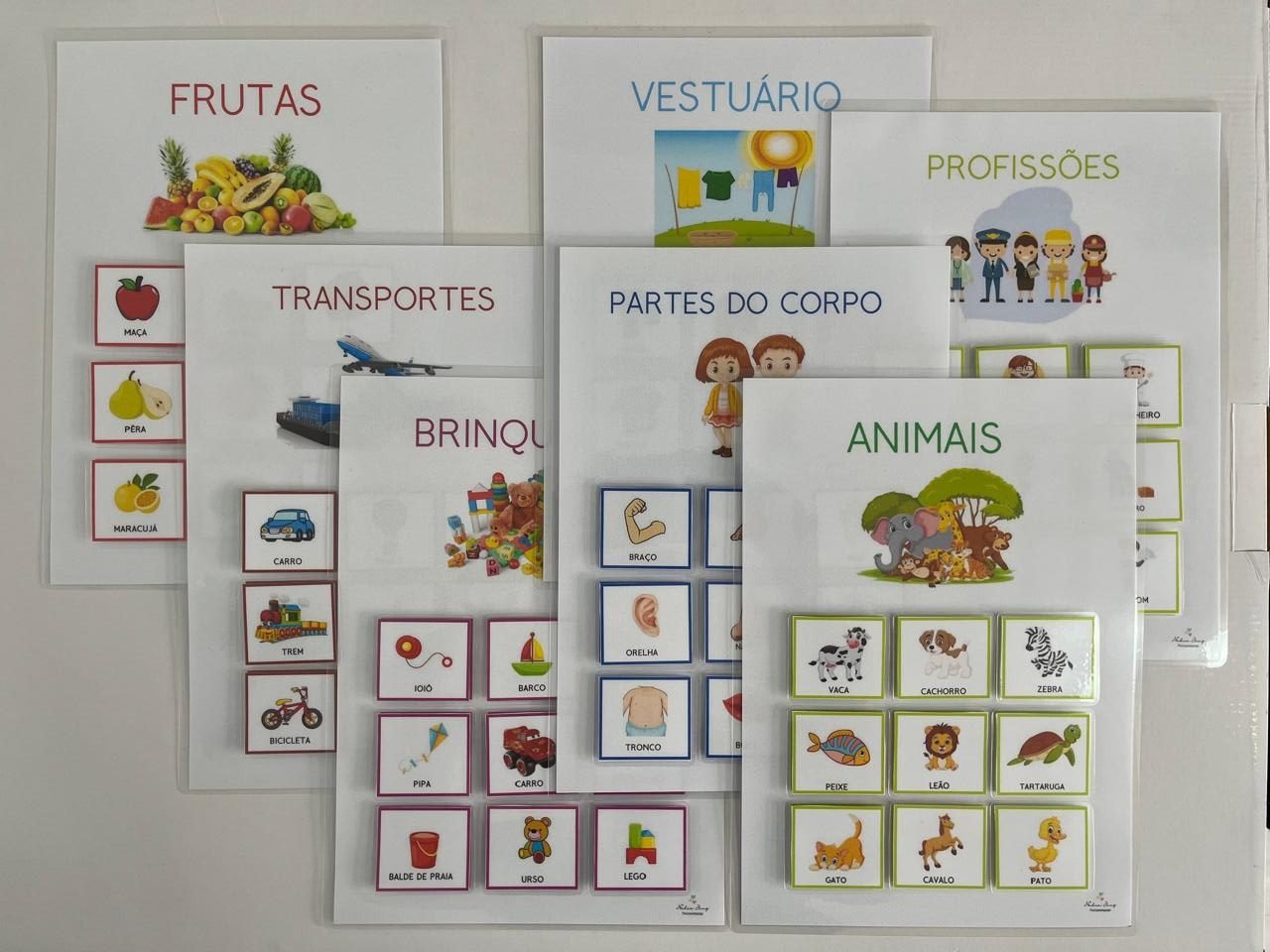 Jogo Educativo de Associação por Categorias: Frutas, Animais, Transportes, Profissões, Vestuário, Brinquedos e Partes do Corpo
