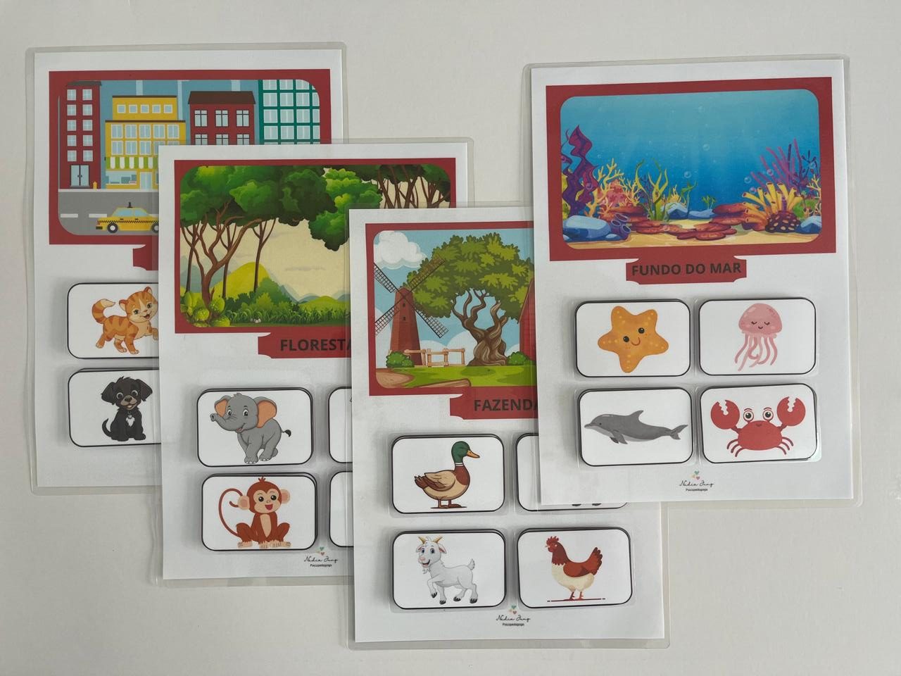 Jogo Educativo de Categorização Animais – De Onde Eu Sou? - Imagem 2